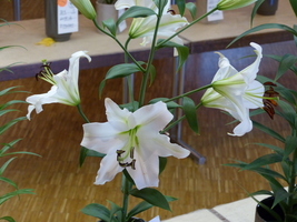 Foto: Dr. Peter Müller